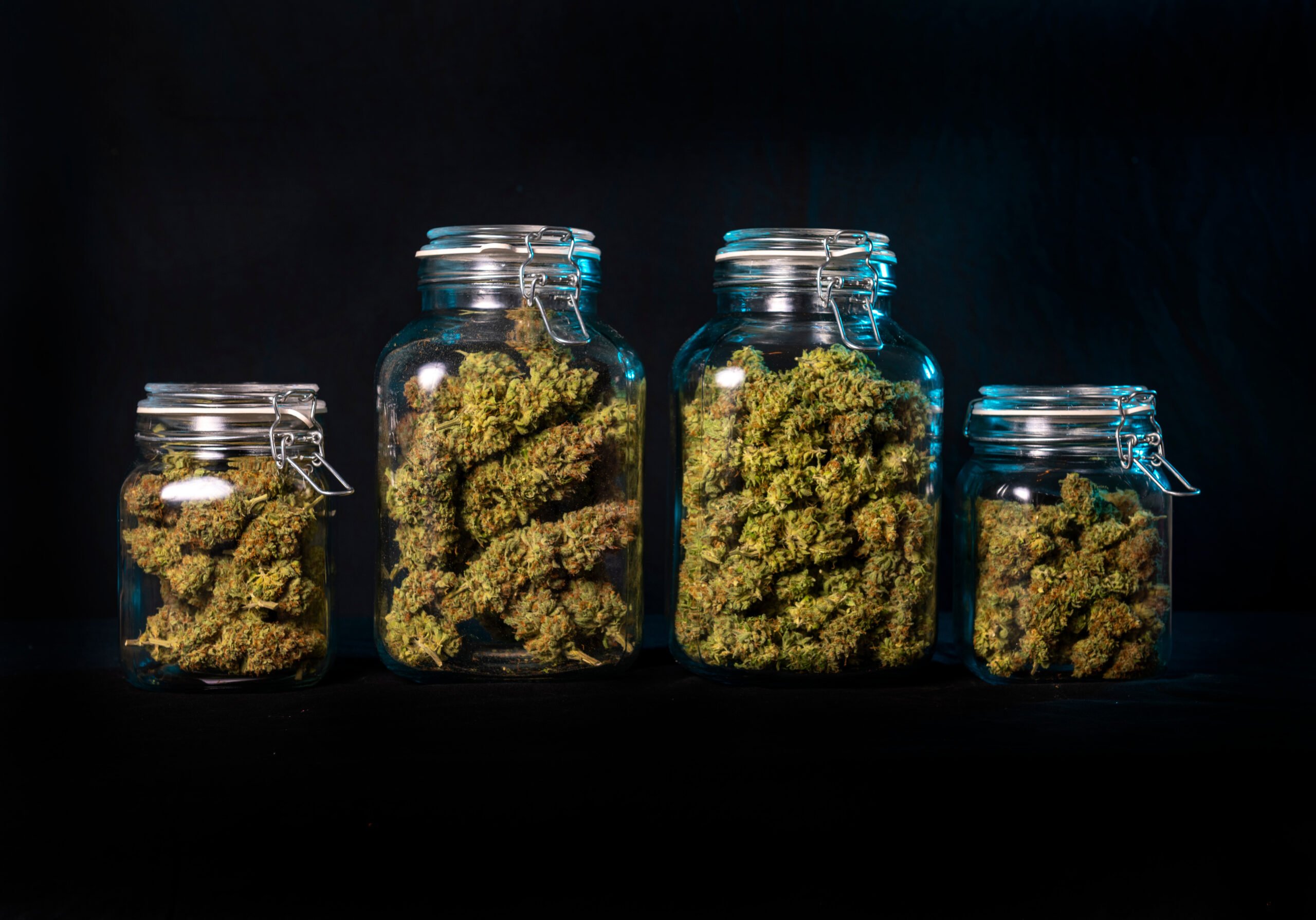 Krewe cannabis co blog the science of freshness how proper curing creates a better smoke scaled (1)